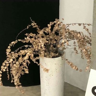 兽设动态姿势参考兽圈社群